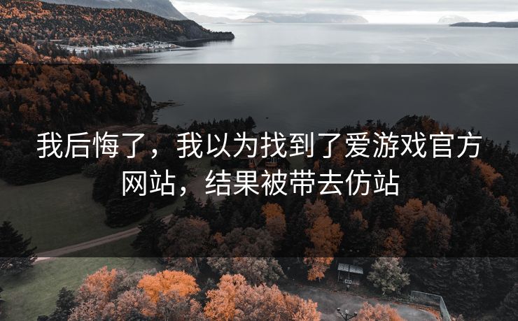 我后悔了，我以为找到了爱游戏官方网站，结果被带去仿站